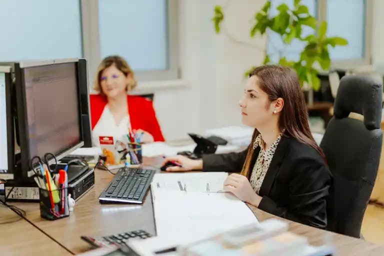 Expertize contabile profesionale în Iași